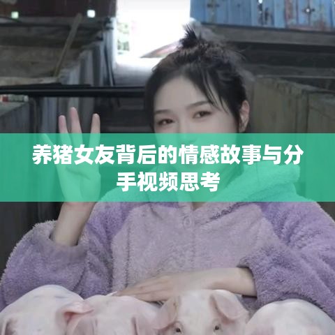 養豬女友背后的情感故事與分手視頻思考