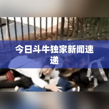 今日斗牛獨家新聞速遞