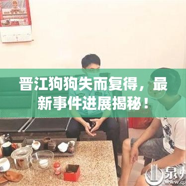 晉江狗狗失而復(fù)得，最新事件進(jìn)展揭秘！