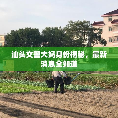 汕頭交警大媽身份揭秘，最新消息全知道