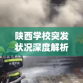 陜西學校突發狀況深度解析