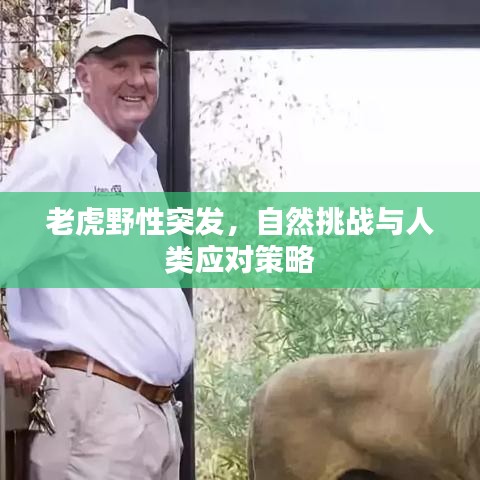 老虎野性突發，自然挑戰與人類應對策略