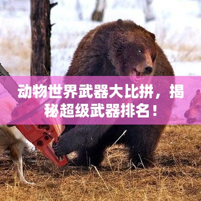 動物世界武器大比拼，揭秘超級武器排名！