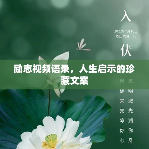 勵志視頻語錄，人生啟示的珍藏文案