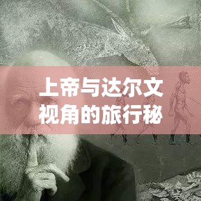 上帝與達爾文視角的旅行秘籍，揭秘最佳旅游指南！