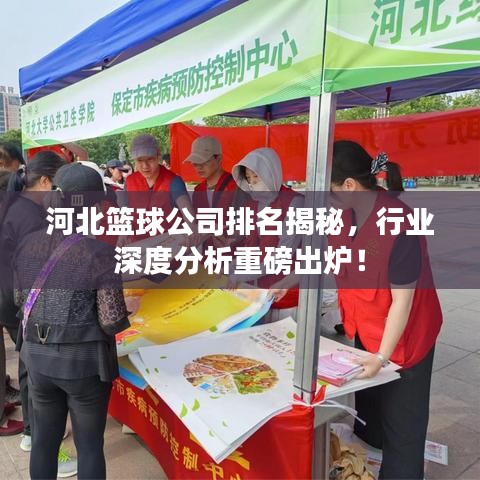 河北籃球公司排名揭秘，行業深度分析重磅出爐！