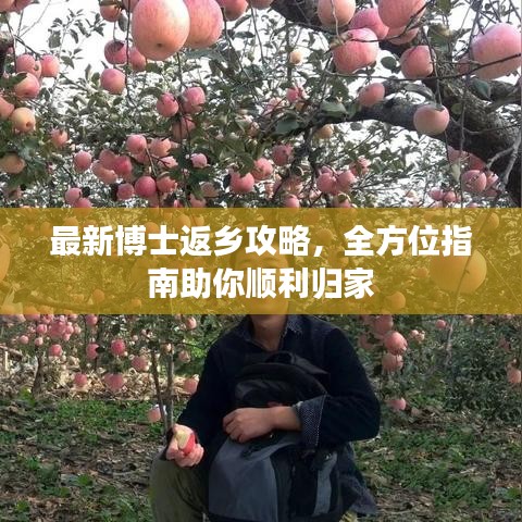 最新博士返鄉攻略，全方位指南助你順利歸家