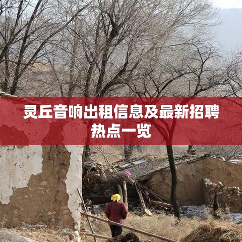 靈丘音響出租信息及最新招聘熱點一覽