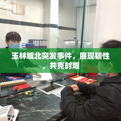 名士風流