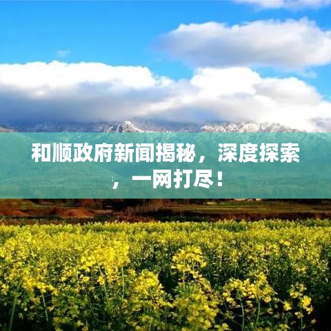 和順政府新聞揭秘，深度探索，一網(wǎng)打盡！