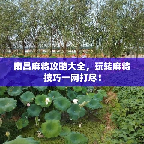 成功案例 第7頁