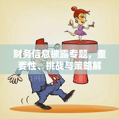 財務(wù)信息披露專題，重要性、挑戰(zhàn)與策略解析