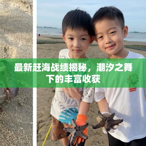 最新趕海戰(zhàn)績揭秘，潮汐之舞下的豐富收獲