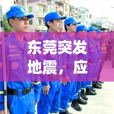 東莞突發地震，應對與反思，深度剖析事件真相