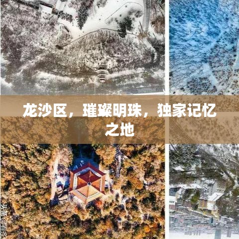 驚弓之鳥