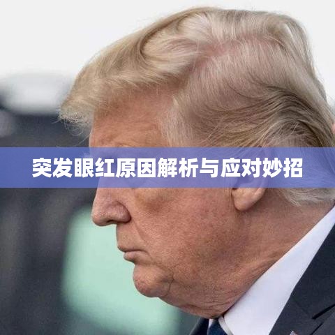 突發眼紅原因解析與應對妙招