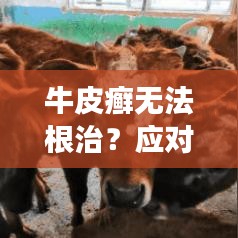 牛皮癬無法根治？應對策略助你擺脫皮膚病困擾！