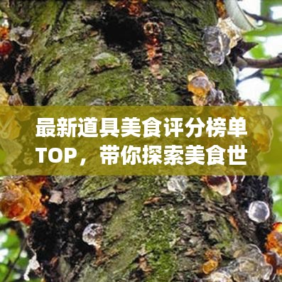 最新道具美食評分榜單TOP，帶你探索美食世界的寶藏佳肴