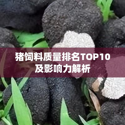 小心翼翼