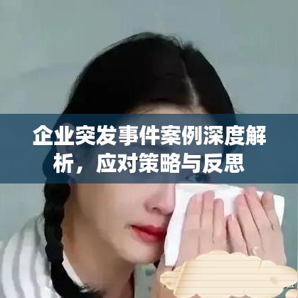 企業突發事件案例深度解析，應對策略與反思
