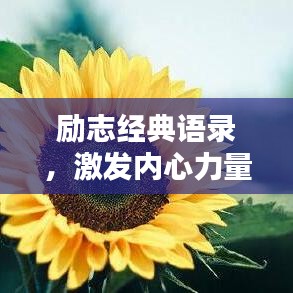 勵志經典語錄，激發內心力量的源泉
