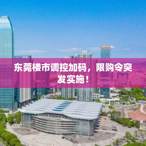 東莞樓市調控加碼，限購令突發實施！
