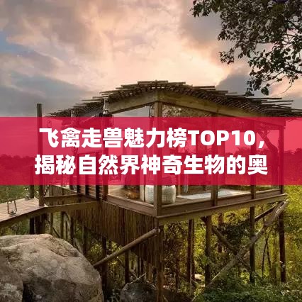 冰清玉潔