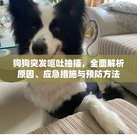 舉世無雙