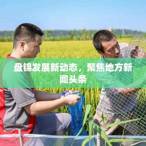 盤錦發展新動態，聚焦地方新聞頭條