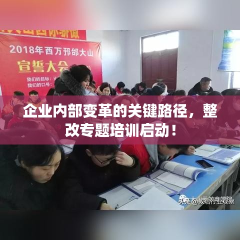 企業內部變革的關鍵路徑，整改專題培訓啟動！