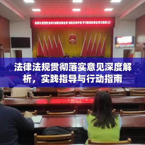法律法規(guī)貫徹落實(shí)意見深度解析，實(shí)踐指導(dǎo)與行動(dòng)指南