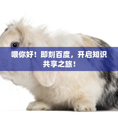 喂你好！即刻百度，開啟知識(shí)共享之旅！