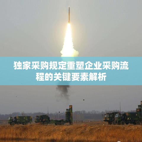獨家采購規定重塑企業采購流程的關鍵要素解析