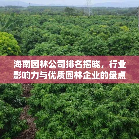 海南園林公司排名揭曉，行業影響力與優質園林企業的盤點