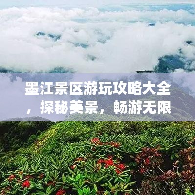 墨江景區游玩攻略大全，探秘美景，暢游無限！