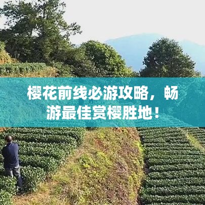 櫻花前線必游攻略，暢游最佳賞櫻勝地！