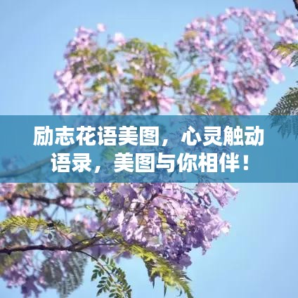勵志花語美圖，心靈觸動語錄，美圖與你相伴！