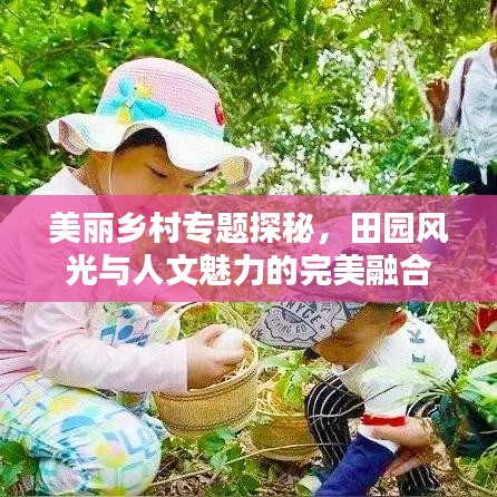 美麗鄉(xiāng)村專題探秘，田園風(fēng)光與人文魅力的完美融合