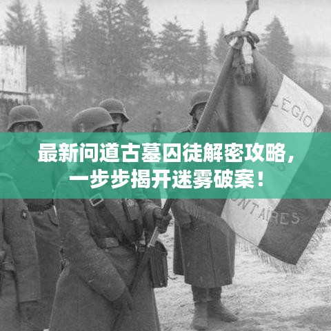 最新問道古墓囚徒解密攻略，一步步揭開迷霧破案！