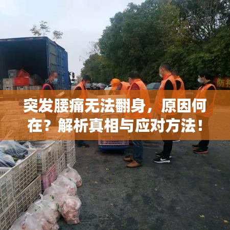 突發(fā)腰痛無法翻身，原因何在？解析真相與應(yīng)對方法！
