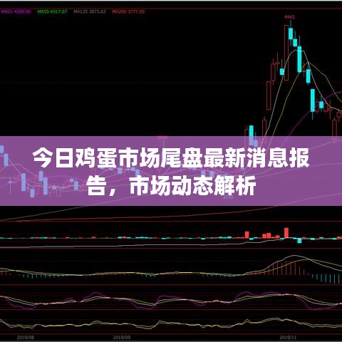 今日雞蛋市場(chǎng)尾盤最新消息報(bào)告，市場(chǎng)動(dòng)態(tài)解析