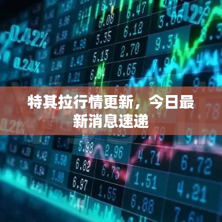 特其拉行情更新，今日最新消息速遞