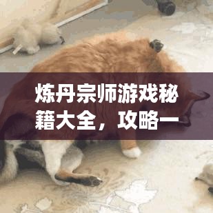煉丹宗師游戲秘籍大全，攻略一網(wǎng)打盡！