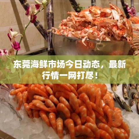 東莞海鮮市場今日動(dòng)態(tài)，最新行情一網(wǎng)打盡！