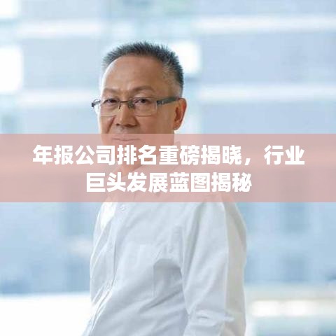 年報(bào)公司排名重磅揭曉，行業(yè)巨頭發(fā)展藍(lán)圖揭秘