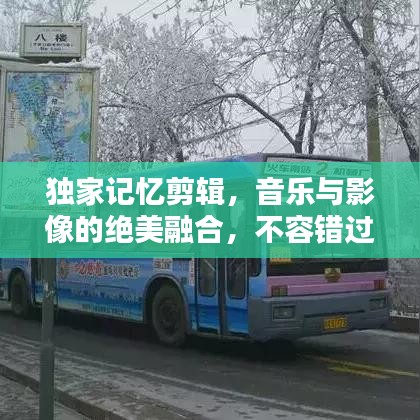 獨家記憶剪輯，音樂與影像的絕美融合，不容錯過！