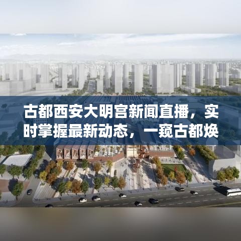 古都西安大明宮新聞直播，實時掌握最新動態，一窺古都煥新貌風采
