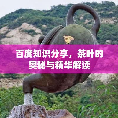 百度知識分享，茶葉的奧秘與精華解讀