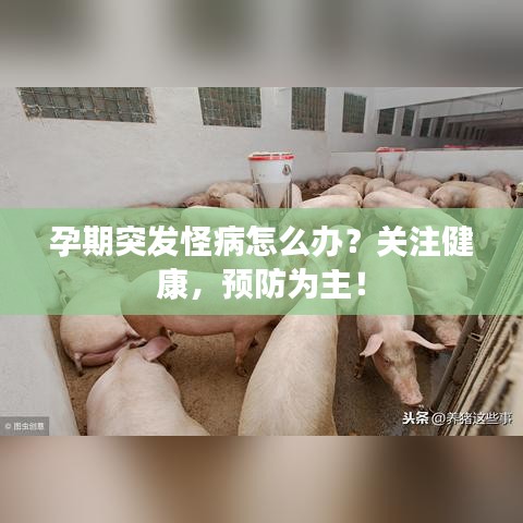 孕期突發(fā)怪病怎么辦？關(guān)注健康，預(yù)防為主！