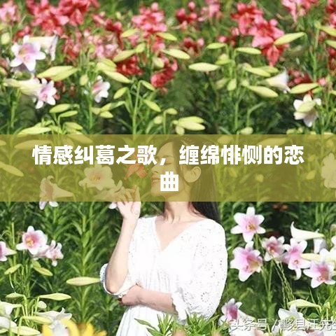 情感糾葛之歌，纏綿悱惻的戀曲